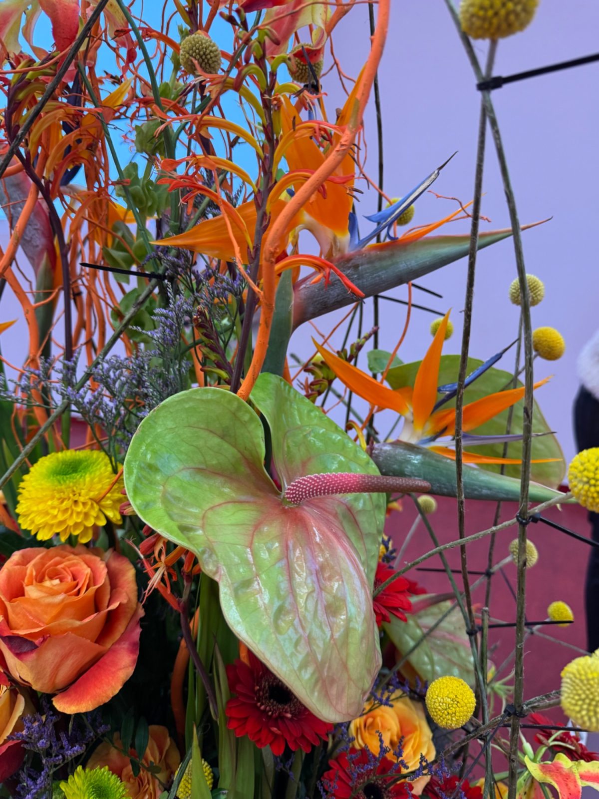 Bild von der Webseite von Blumen Ulbrich